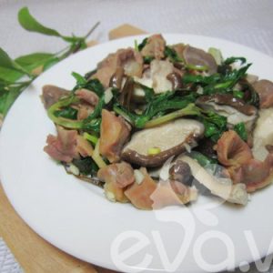 me-ga-xao-nam-dong-co